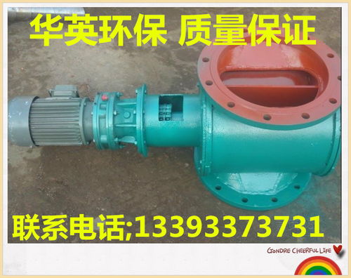 電動(dòng)雙層卸灰閥報(bào)價(jià) 廠家