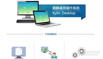 國產自主系統 唯有實干，方能上位